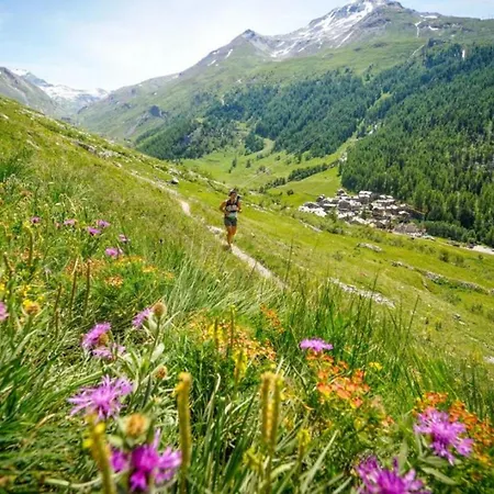 Appartement Chamois Blanc 2 Centre Mont Blanc