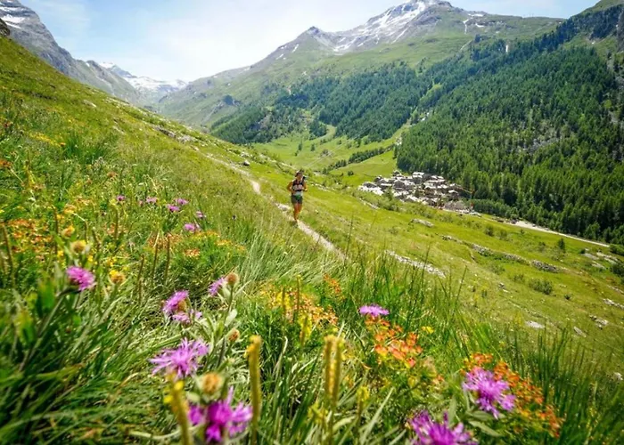 Appartement Chamois Blanc 2 Centre Mont Blanc